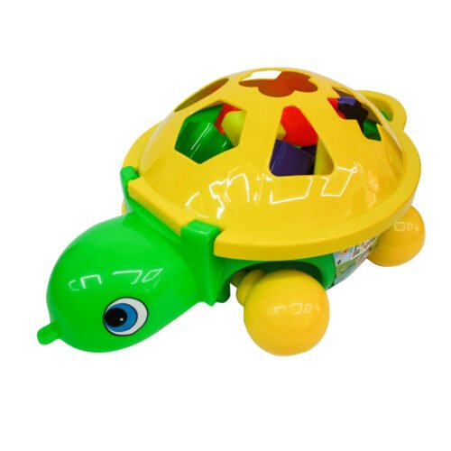 703 Tortuga Didáctica 2