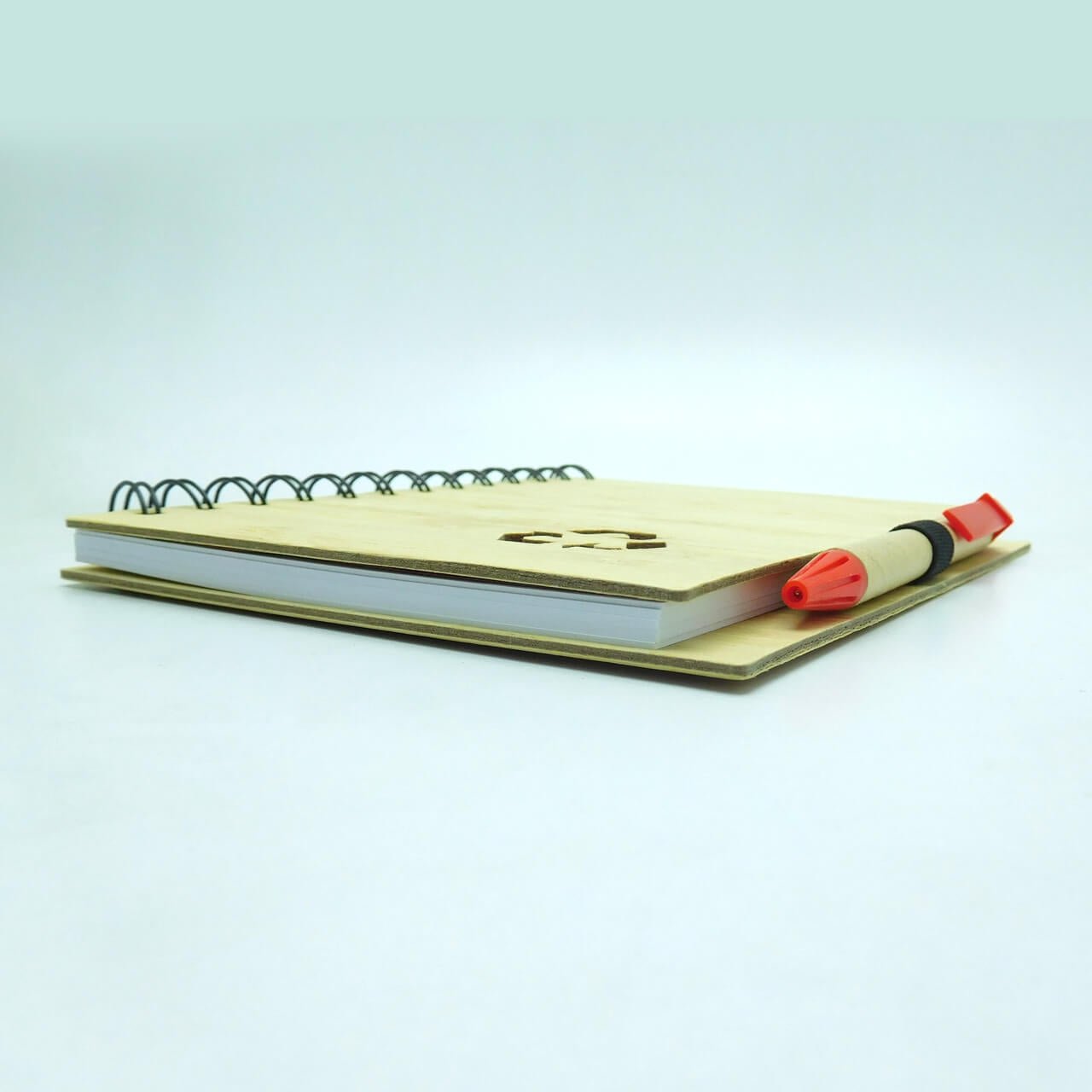 Agenda Ecológica 67 – Bambú